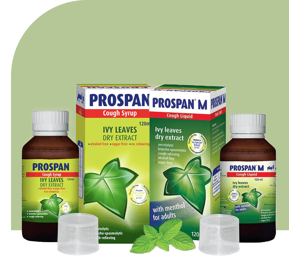 Prospan Cough Syrup & Prospan M Cough Liquid