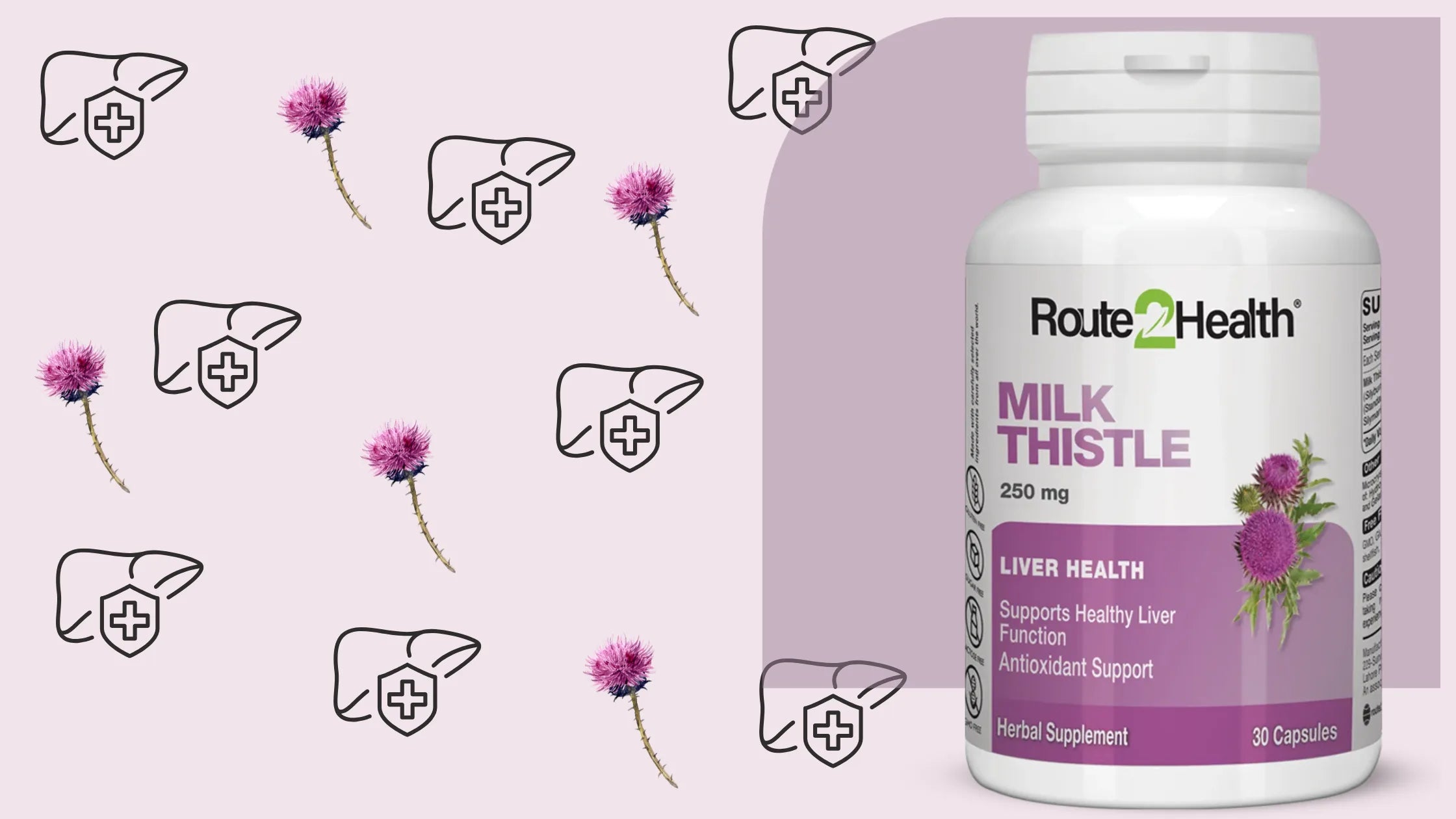 When Is The Best Time To Take Milk Thistle?