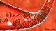 Symptoms of Poor Blood Circulation