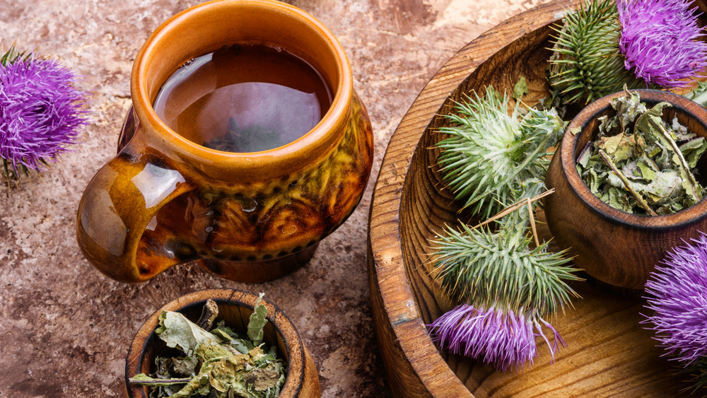 Best Time To Take Milk Thistle Milk Thistle 101: Best Time To Take It And Its Surprising Health Benef