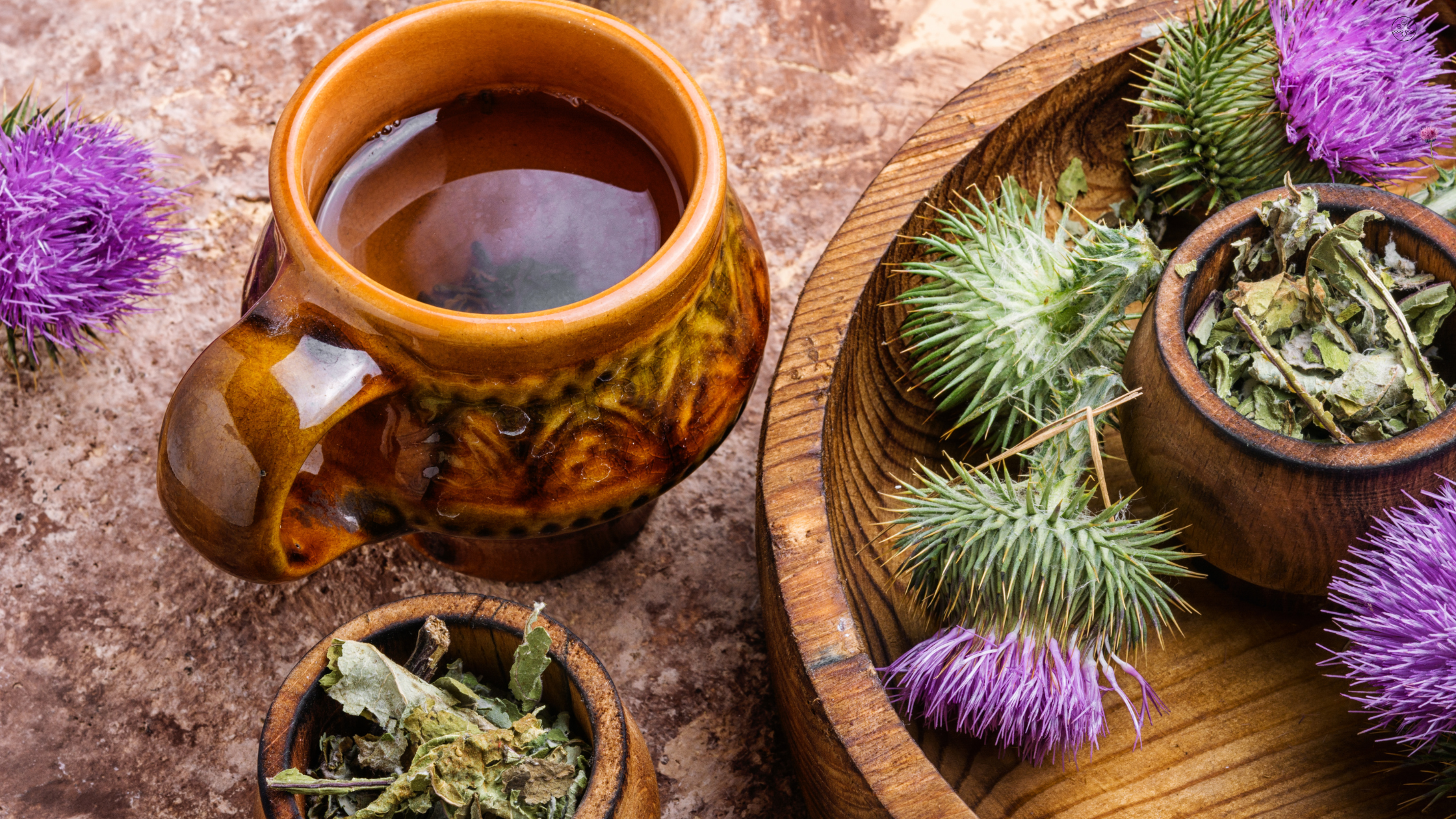 Milk Thistle 101: Best Time To Take It And Its Surprising Health Benefits