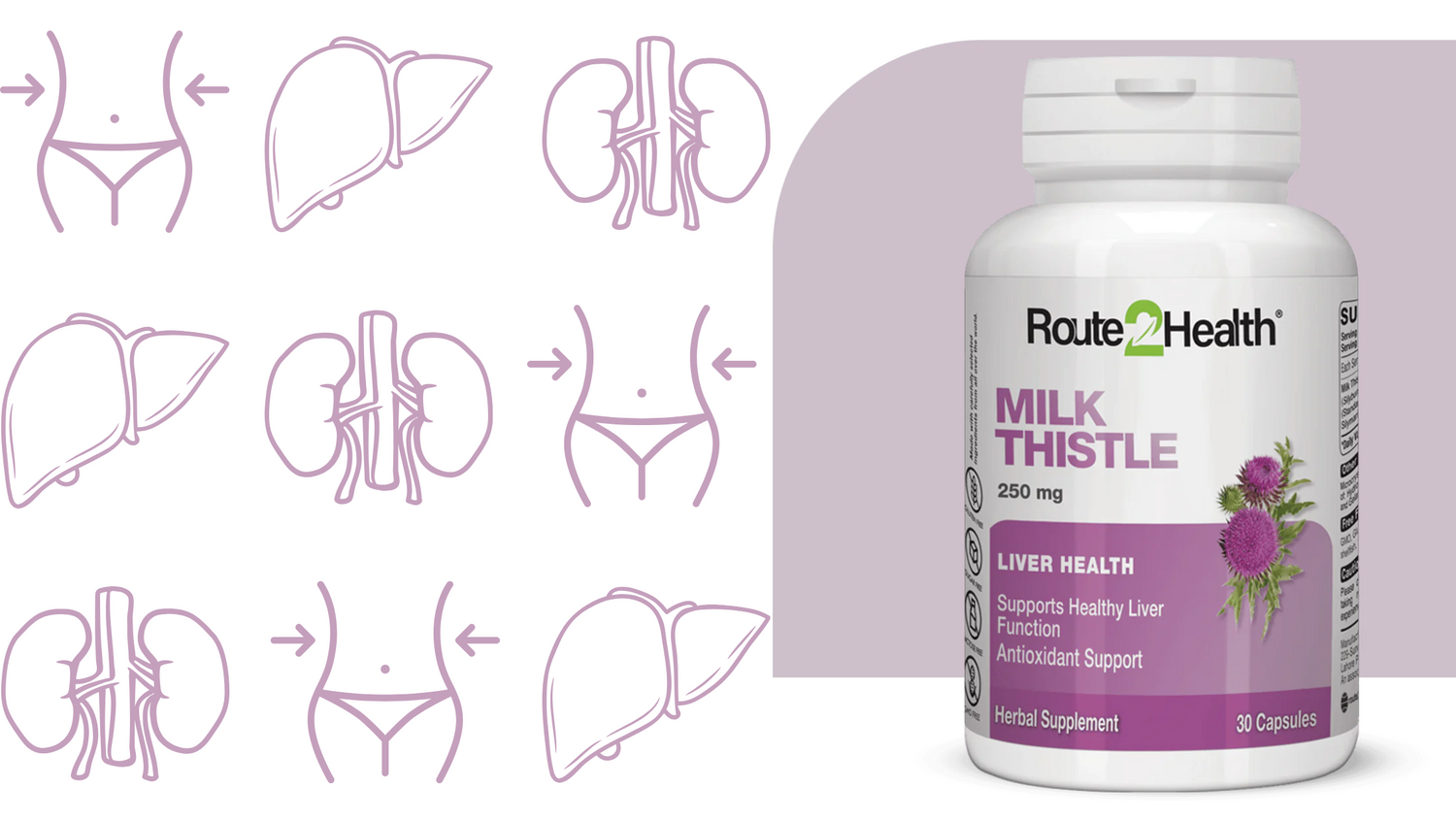 Morning Or Night? How To Take Milk Thistle For Maximum Results